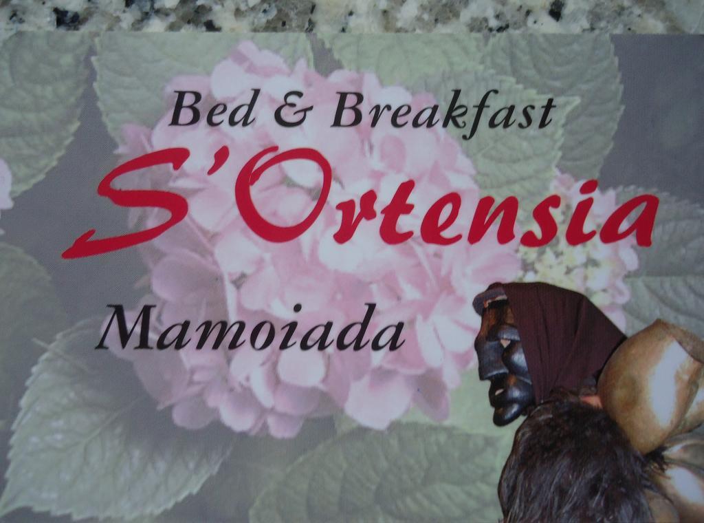 Bed & Breakfast S'ortensia *